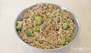 Homemade Weight Loss Dog Food