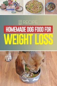 Homemade Weight Loss Dog Food Recipe