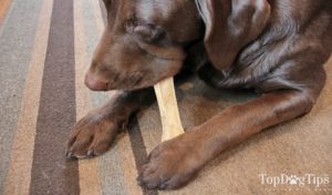 Raw Paws Pet Food Compressed Rawhide Chews