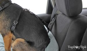 Snoozer Luxury Lookout Dog Car Seat Review