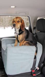 Snoozer Luxury Lookout Dog Car Seat Review