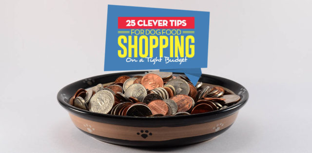 The 25 Clever Tips on Shopping for Dog Food on a Tight Budget