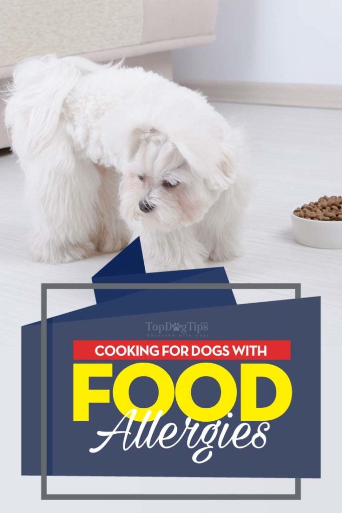 The Guide on How to Feed Dogs With Food Allergies and Food Sensitivities