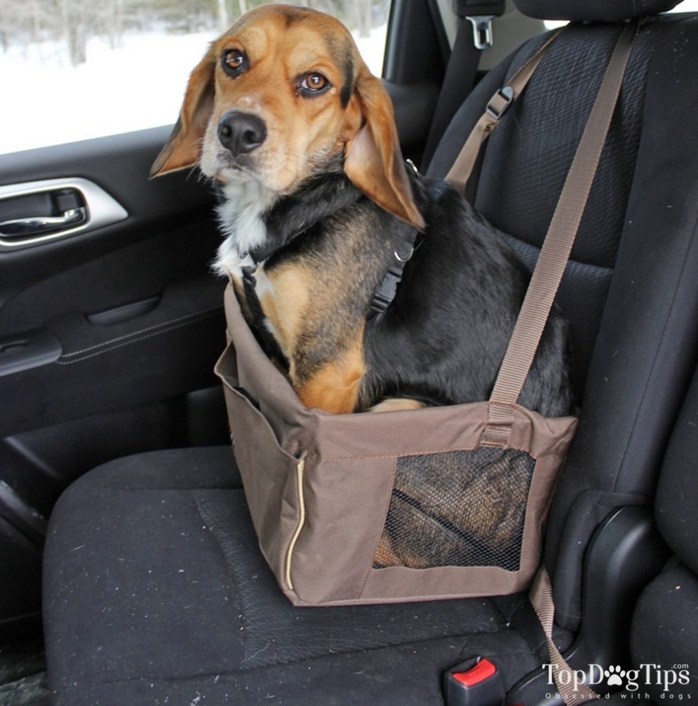 Travel Hound Dog Booster Seat