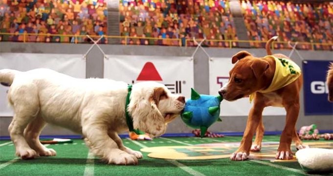 Watch Puppy Bowl Animal Planet