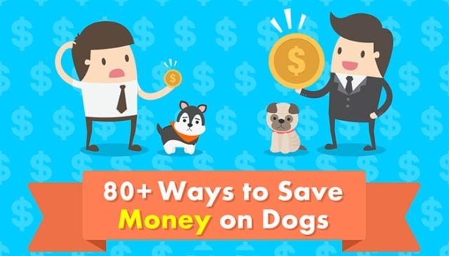 80 Ways to Save Money on Dogs