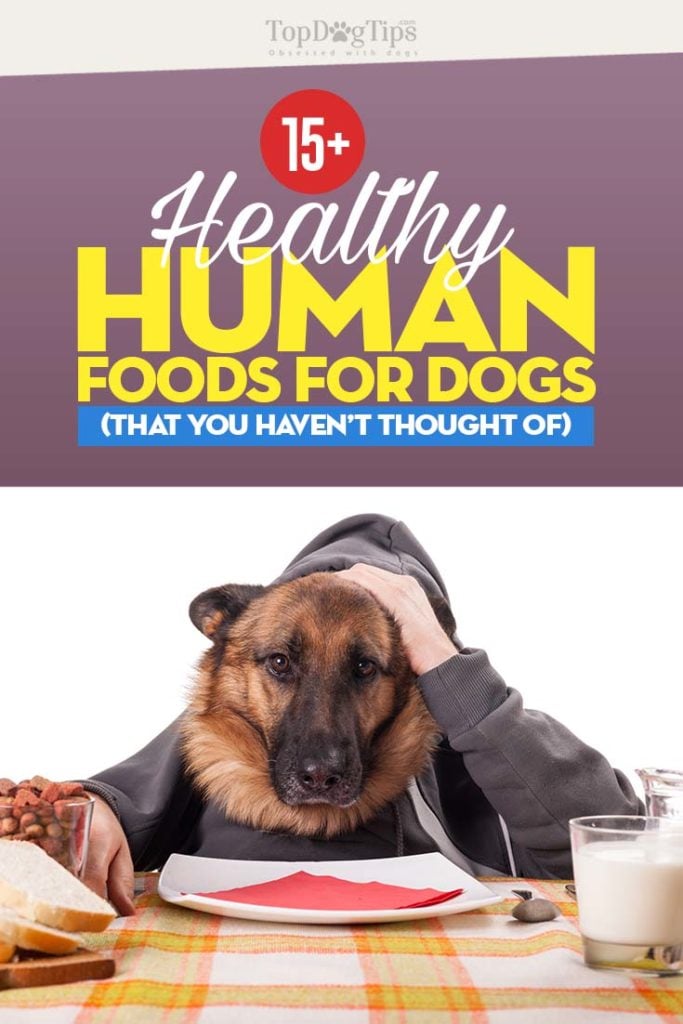 Best Human Foods for Dogs