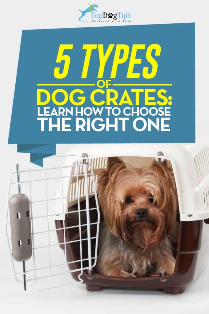 Dog Crate Types