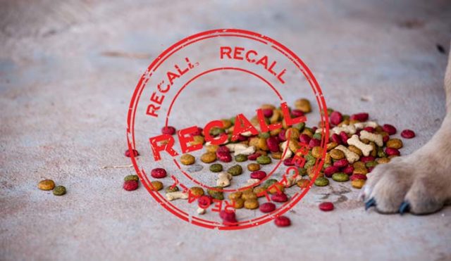 Dog Food Recall Alert - What You Need to Do When You See One