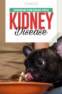 Dog Kidney Disease Diet 101 - Evidence-based Guidelines on Feeding