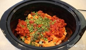 Homemade Dog Food for Puppies