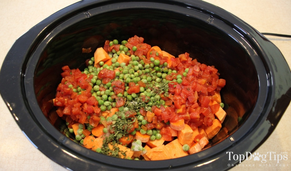 crock pot dog food