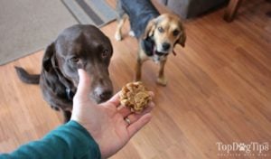 Homemade Dog Treats with Baby Food