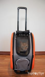 IBIYAYA Lightweight Dog Stroller