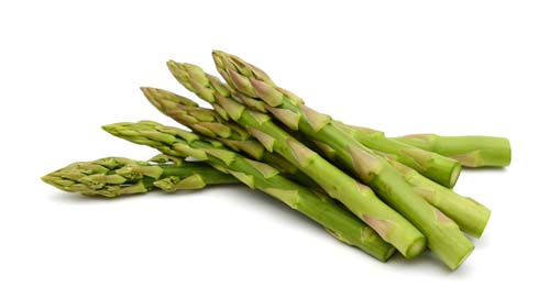 Is asparagus good for dogs