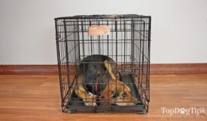 Midwest iCrate Folding Metal Dog Crate Review