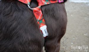 PrideBites Personalized Step-In Dog Harness