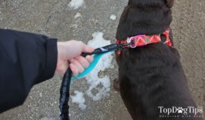 SparklyPets Rope Dog Leash