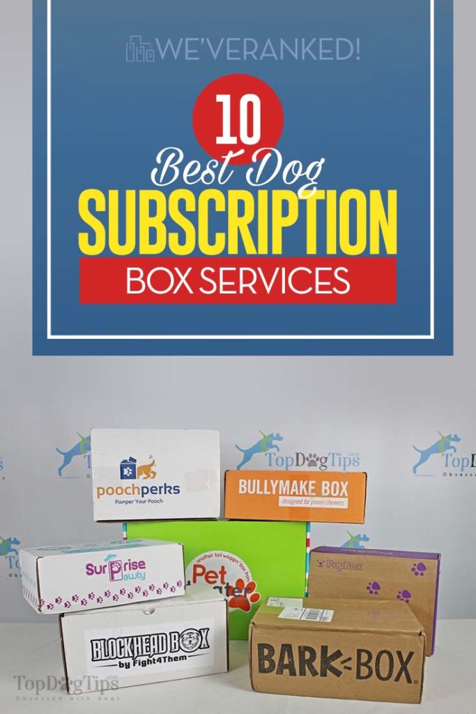 15 Best Dog Subscription Boxes 2020