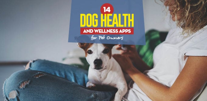 14 Dog Health and Wellness Apps for Pet Owners