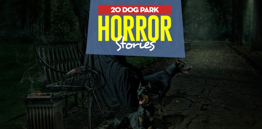 20 Dog Park Horror Stories