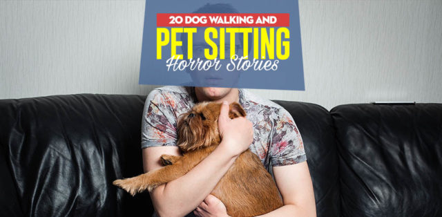 20 Dog Walking and Sitting Horror Stories