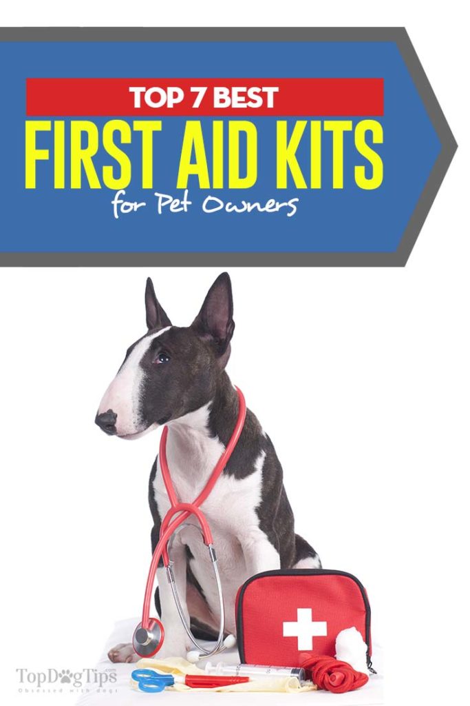 7 Top Rated Best Dog First Aid Kit Choices