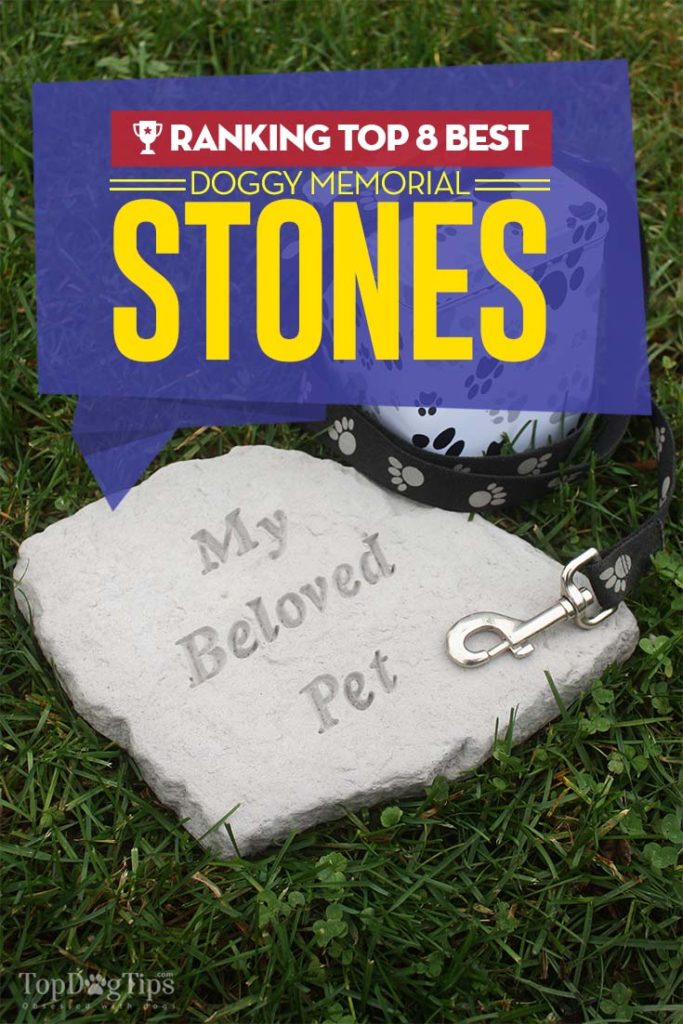 8 Best Dog Memorial Stone Choices 2020