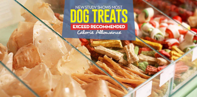 A Study Shows Most Dog Treats Exceed Recommended Calorie Allowance