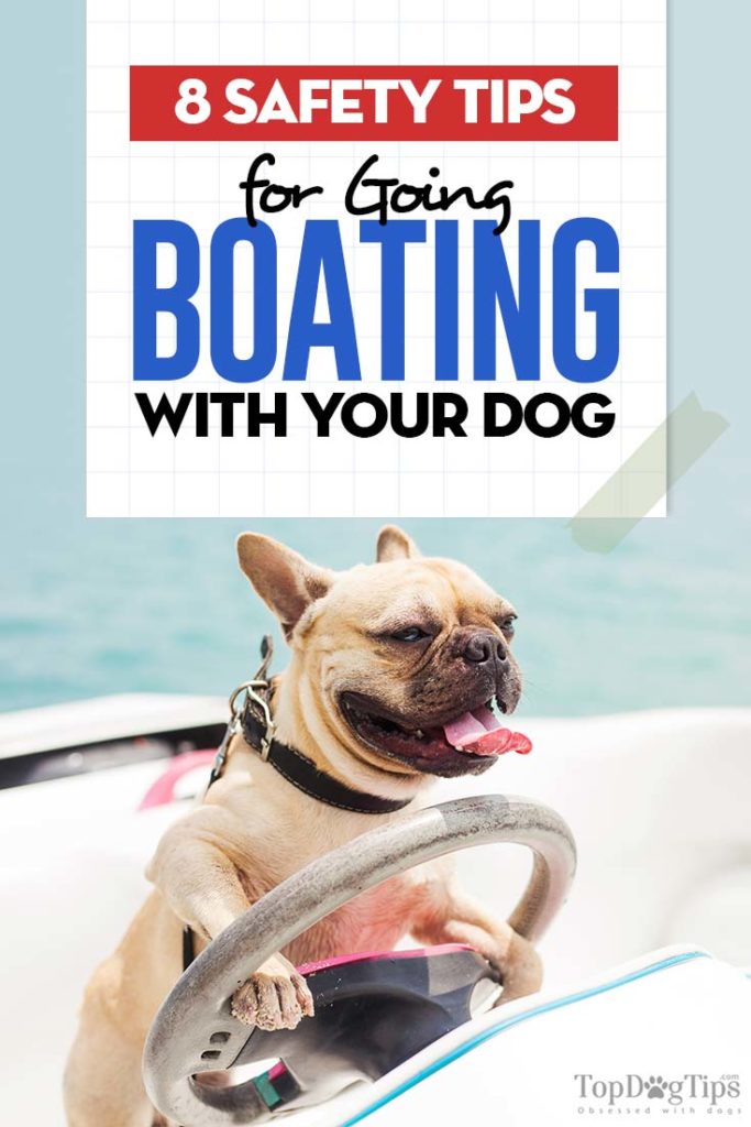 Dog Boating Safety Tips