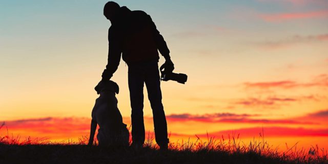 Dog Photography - The Ultimate Guide and Best Tips for Beginners