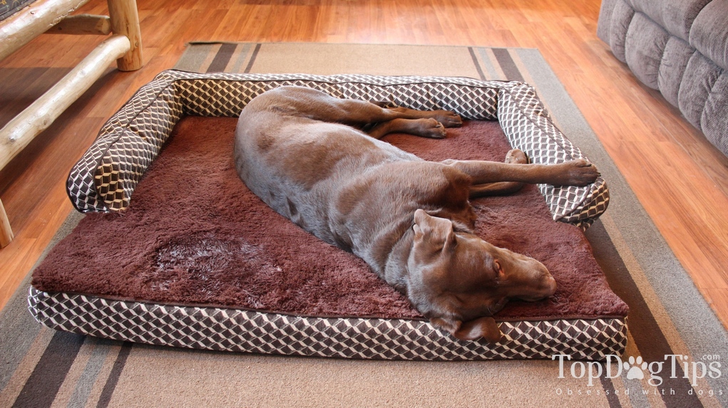 FurHaven Memory Top Couch Bed for Dogs