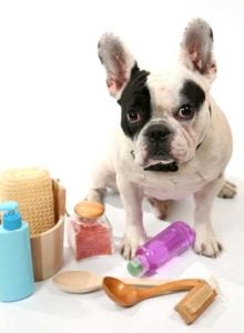 How parabens in beauty products are killing our dogs