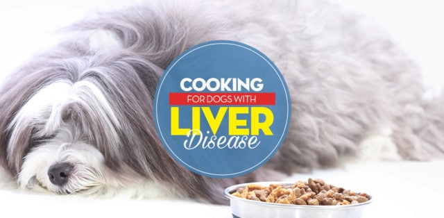 How to Feed Dogs With Liver Disease