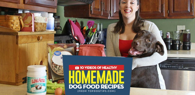 Most Popular Homemade Dog Food Recipe Videos