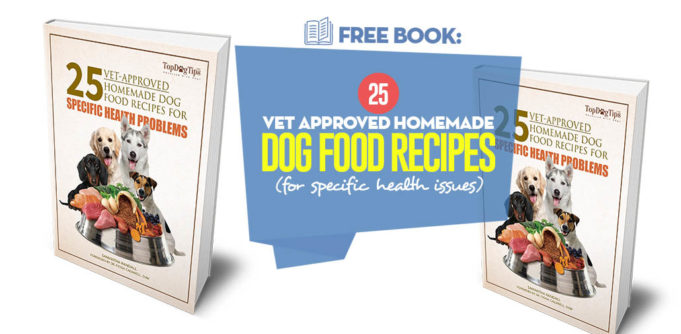 Our 25 Vet Approved Homemade Dog Food Recipes