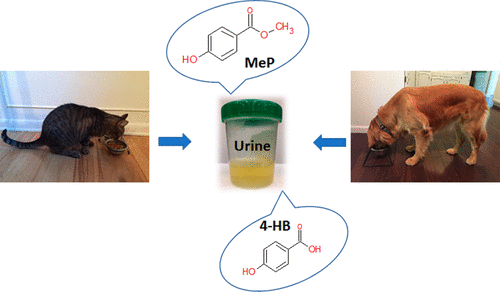 Parabens found in dog food are killing dogs