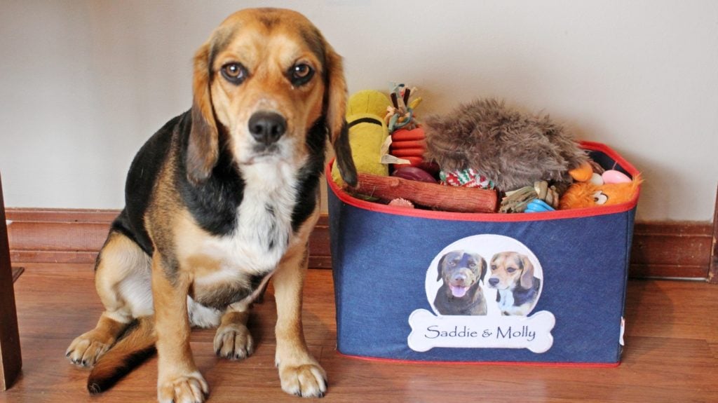 PrideBites Personalized Dog Toy Box