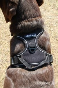 Rabbitgoo No-Pull Dog Harness