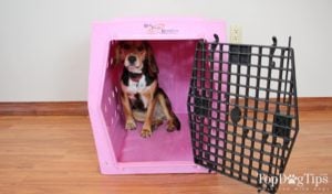 Ruff Tough Kennels Intermediate Single Door Kennel