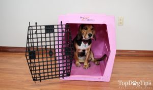 Ruff Tough Kennels Intermediate Single Door Kennel