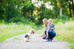 Teaching kids to behave around dogs