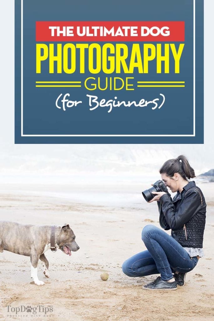 The Best Dog Photography Guide and Tips for Beginners