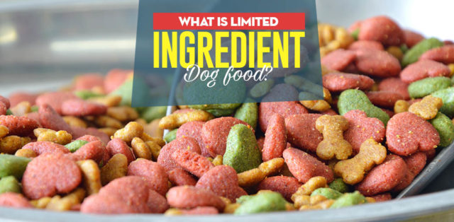 The Guide to Limited Ingredient Dog Food