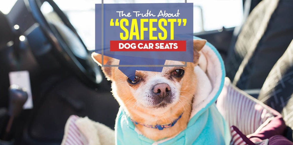 The Truth About the Safest Dog Car Seat Choices