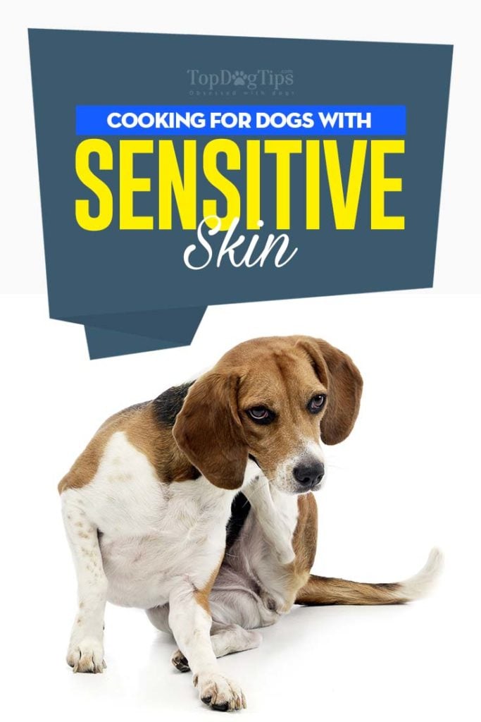 Tips on Feeding Dogs with Sensitive Skins