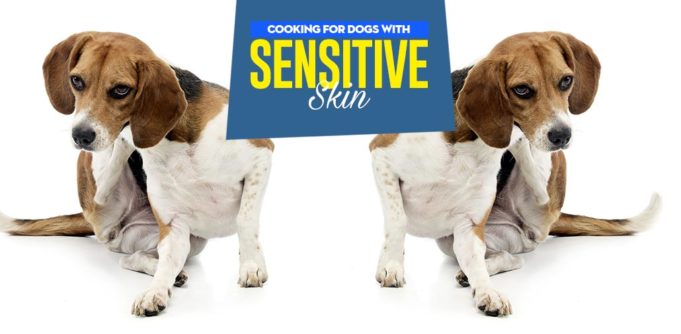 Tips on How to Feed Dogs With Sensitive Skin