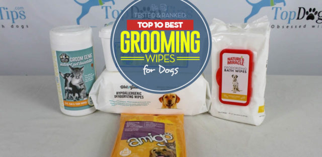 Top 10 Best Dog Wipes