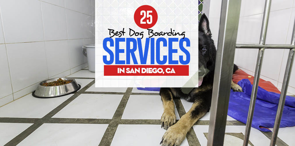 Top 25 Best Dog Boarding Services in San Diego