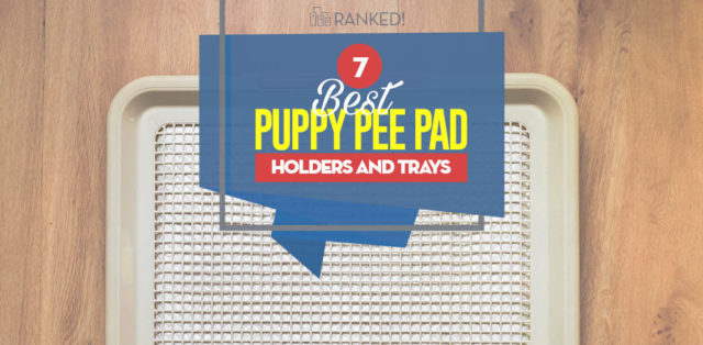 Top 7 Best Puppy Pee Pad Holders, Trays and Litter Boxes